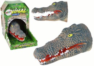 Krokodilli pea hind ja info | Poiste mänguasjad | kaup24.ee