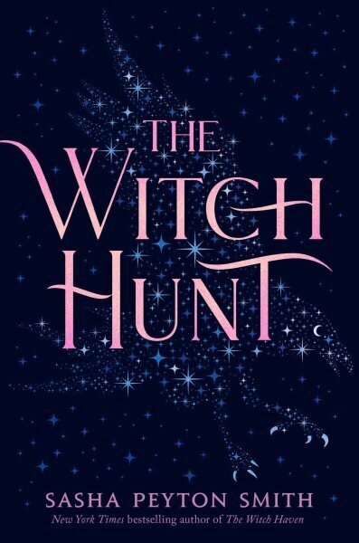 The Witch Hunt hind ja info | Noortekirjandus | kaup24.ee