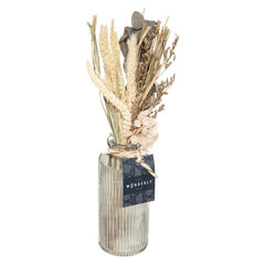 Композиция из сухих цветов в стеклянной вазе, белая цена и информация | Искусственные цветы | kaup24.ee