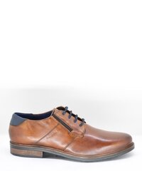 Выходные туфли для мужчин Bugatti 17080508.48, коричневые цена и информация | Мужские ботинки | kaup24.ee