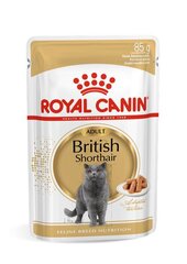 Royal Canin British Shorthair для взрослых британских короткошерстных кошек, 12x85 г цена и информация | Кошачьи консервы | kaup24.ee