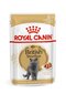 Royal Canin British Shorthair täiskasvanud Briti lühikarvalistele kassidele, 12x85g цена и информация | Konservid kassidele | kaup24.ee