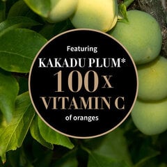 Näoseerum Antipodes Vitamin C Serum With Plant Hyaluronic Acid, 10 ml цена и информация | Сыворотки для лица, масла | kaup24.ee
