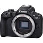 Canon Eos R50 hind ja info | Fotoaparaadid | kaup24.ee