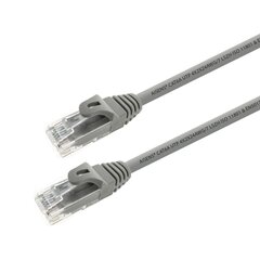 Aisens, Cat6A RJ45, 2 m цена и информация | Кабели и провода | kaup24.ee