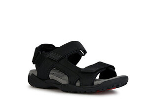 Meeste sandaalid Geox U3550A-0EK11-C9999, must hind ja info | Geox Meestele | kaup24.ee