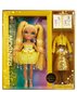 Nukk Rainbow High dolls Fantastic Fashion, kollane, 33 cm цена и информация | Tüdrukute mänguasjad | kaup24.ee