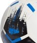 Jalgpalli pall Adidas, 4 цена и информация | Jalgpalli pallid | kaup24.ee