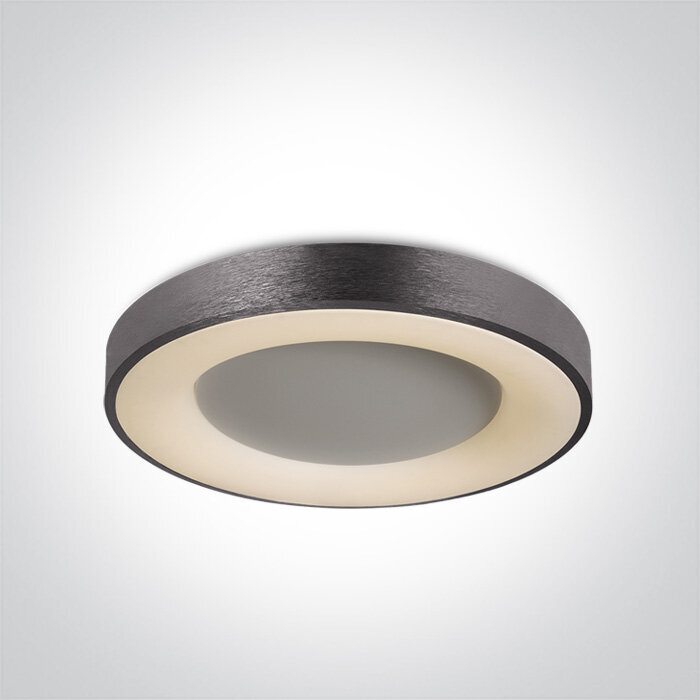 OneLight laelamp LED Decorative Plafo 62182A/BAN/W hind ja info | Laelambid | kaup24.ee