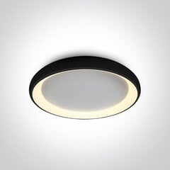 OneLight laelamp LED Decorative Plafo 62144N/B/W цена и информация | Потолочные светильники | kaup24.ee