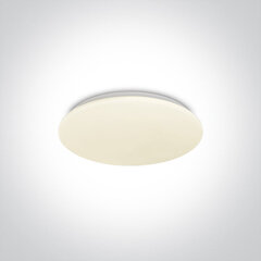 ONELight потолочный светильник LED Plafo 62026A/W цена и информация | Потолочные светильники | kaup24.ee