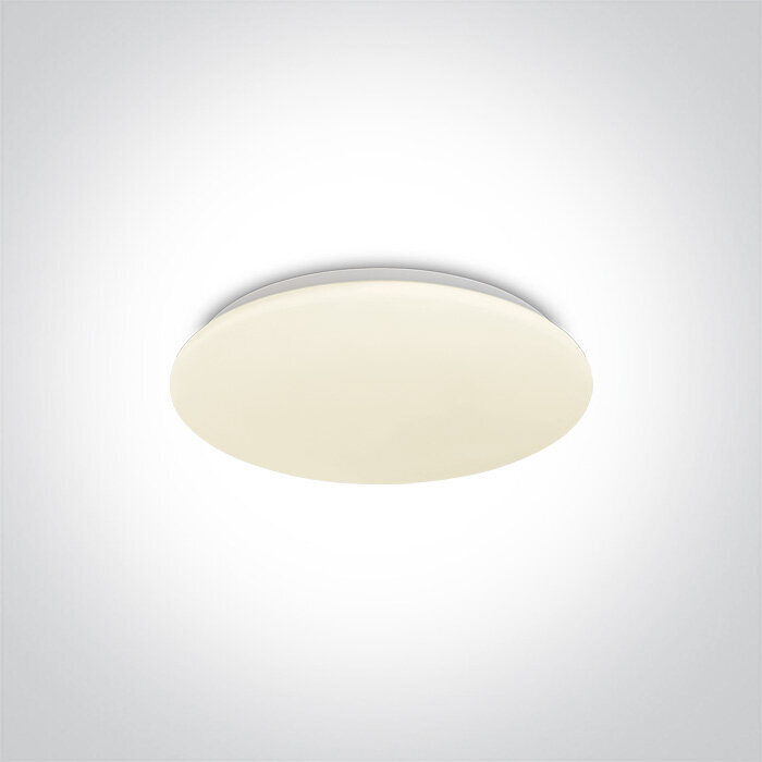 OneLight laelamp LED Plafo 62026A/W цена и информация | Laelambid | kaup24.ee