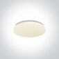 OneLight laelamp LED Plafo 62026A/W hind ja info | Laelambid | kaup24.ee