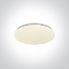 ONELight потолочный светильник LED Plafo 62026B/W цена и информация | Потолочные светильники | kaup24.ee