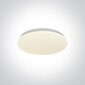 OneLight laelamp LED Plafo 62026B/W hind ja info | Laelambid | kaup24.ee