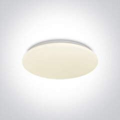 ONELight потолочный светильник LED Plafo 62026C/W цена и информация | Потолочные светильники | kaup24.ee