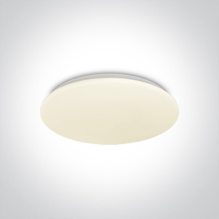 OneLight laelamp LED Plafo 62026C/W цена и информация | Laelambid | kaup24.ee
