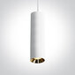 OneLight rippvalgusti Cylinder LED 63105MA/W hind ja info | Rippvalgustid | kaup24.ee