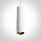 OneLight rippvalgusti Cylinder LED 63105MA/W цена и информация | Rippvalgustid | kaup24.ee