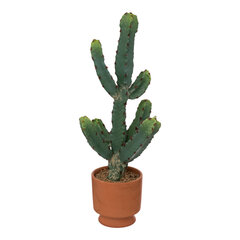 Kunstlik kaktus terrakotapotiga, K49cm hind ja info | Kunstlilled | kaup24.ee