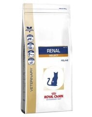 Kuivtoit neeruprobleemidega kassidele Royal Canin Cat Renal Select, 4 kg цена и информация | Сухой корм для кошек | kaup24.ee