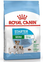 Kuivtoit Royal Canin Mini, 8,5 kg hind ja info | Kuivtoit koertele | kaup24.ee