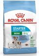 Kuivtoit Royal Canin Mini, 8,5 kg