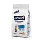 Advance Cat Adult Chicken, 1.5 kg hind ja info | Kuivtoit kassidele | kaup24.ee