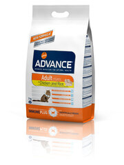 ADVANCE kana ja riisiga Cat Adult, 3 kg hind ja info | Kuivtoit kassidele | kaup24.ee