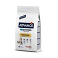 ADVANCE CAT ADULT SALMON SENSITIVE 1,5KG - ДЛЯ ВЗРОСЛЫХ КОШЕК (ЛОСОСЬ И РИС)