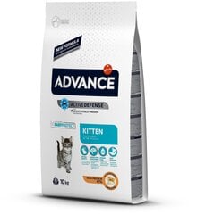 Kuivtoit kassipoegadele ADVANCE Cat Kitten kanaliha ja riisiga, 10 kg цена и информация | Сухой корм для кошек | kaup24.ee