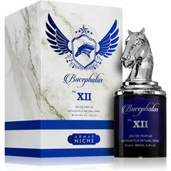 Парфюмированная вода Armaf Bucephalus XII Blue EDP для мужчин, 100 мл цена и информация | Armaf Духи, косметика | kaup24.ee