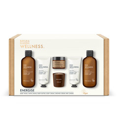 Kinkekomplekt Baylis & Harding Wellness Luxury Candlelit Bathing hind ja info | Kehakreemid, losjoonid | kaup24.ee