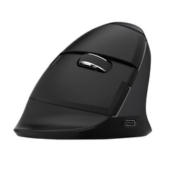 Delux Беспроводная вертикальная мышь Delux M618Mini BT4.0 + 2.4Ghz 4000DPI RGB (синяя) цена и информация | Мыши | kaup24.ee