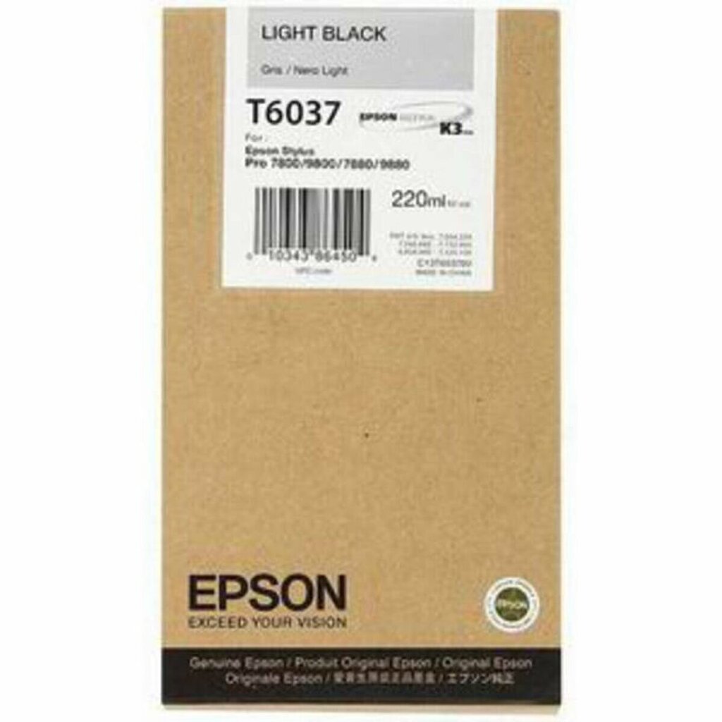 Epson C13T603700 hind ja info | Tindiprinteri kassetid | kaup24.ee