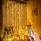300 LED valguskardin, 3x3m цена и информация | Jõulukaunistused | kaup24.ee