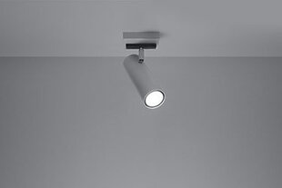Sollux valgusti Direzione 1 цена и информация | Потолочные светильники | kaup24.ee