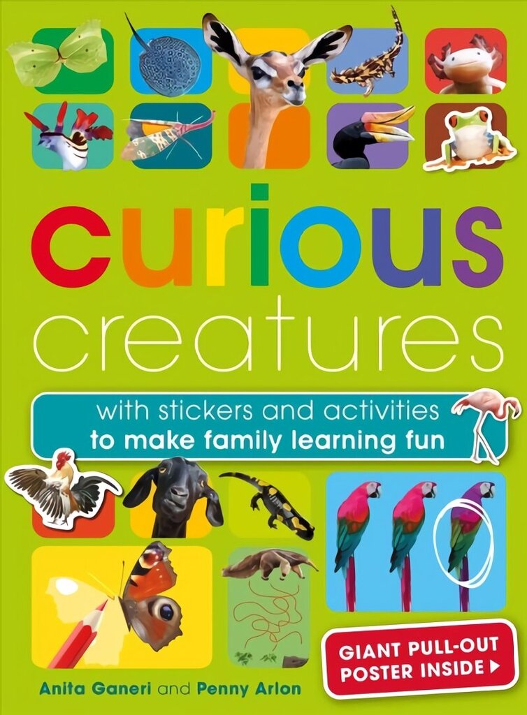 Curious Creatures: With Stickers and Activities to Make Family Learning Fun hind ja info | Väikelaste raamatud | kaup24.ee