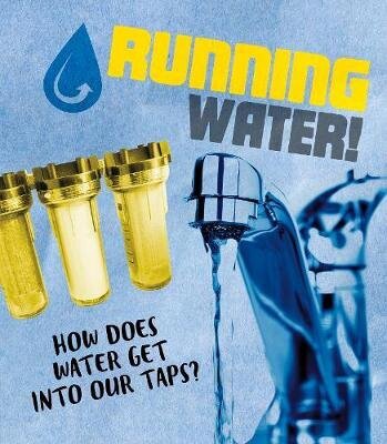 Running Water!: How does water get into our taps? цена и информация | Noortekirjandus | kaup24.ee