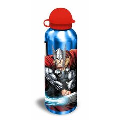 Бутылка с водой Avengers Алюминий (500 ml) цена и информация | Фляги для воды | kaup24.ee