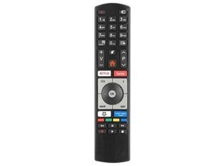 Lamex LXP4318 TV remote control TV LCD TELEFUNKEN,FINLUX,VESTEL RC4318P NETFLIX,Youtube цена и информация | Аксессуары для Smart TV | kaup24.ee