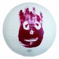 Wilson Võrkpalli pallid internetist