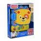 Winfun Lion mõistatusi interaktiivne mänguasi hind ja info | Imikute mänguasjad | kaup24.ee