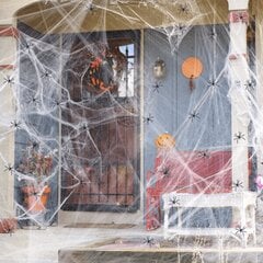 Halloweeni kaunistus, Ämblikuvõrk + 20 ämbliku цена и информация | Карнавальные костюмы | kaup24.ee