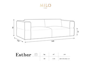 Диван Milo Casa Esther, 248x103x78 см, серый цвет цена и информация | Диваны | kaup24.ee