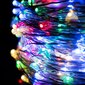 Dekoratiivne valguskett Garlianda 100 microLED, IP44 hind ja info | Jõulutuled | kaup24.ee