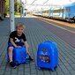 Laste kohver Paw Patrol, 32l, sinine цена и информация | Kohvrid, reisikotid | kaup24.ee