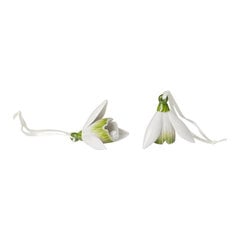 Kaunistus Villeroy & Boch "Mini Flower Bells", 2 tk hind ja info | Peokaunistused | kaup24.ee