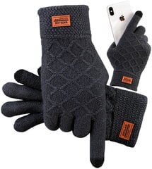 Перчатки мужские зимние R5, черные цена и информация | Мужские шарфы, шапки, перчатки | kaup24.ee