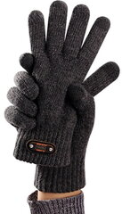 Перчатки мужские зимние R6, серые цена и информация | Мужские шарфы, шапки, перчатки | kaup24.ee